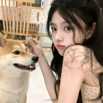 鹡鸰女神第一季 在线观看